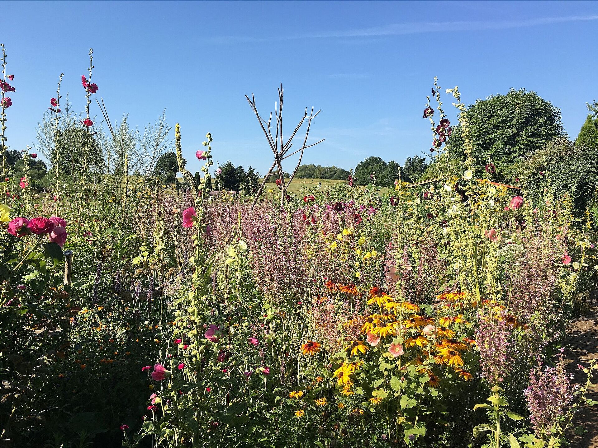 Frühjahrseinkauf für den Garten Auf die richtige Erde achten! BUND