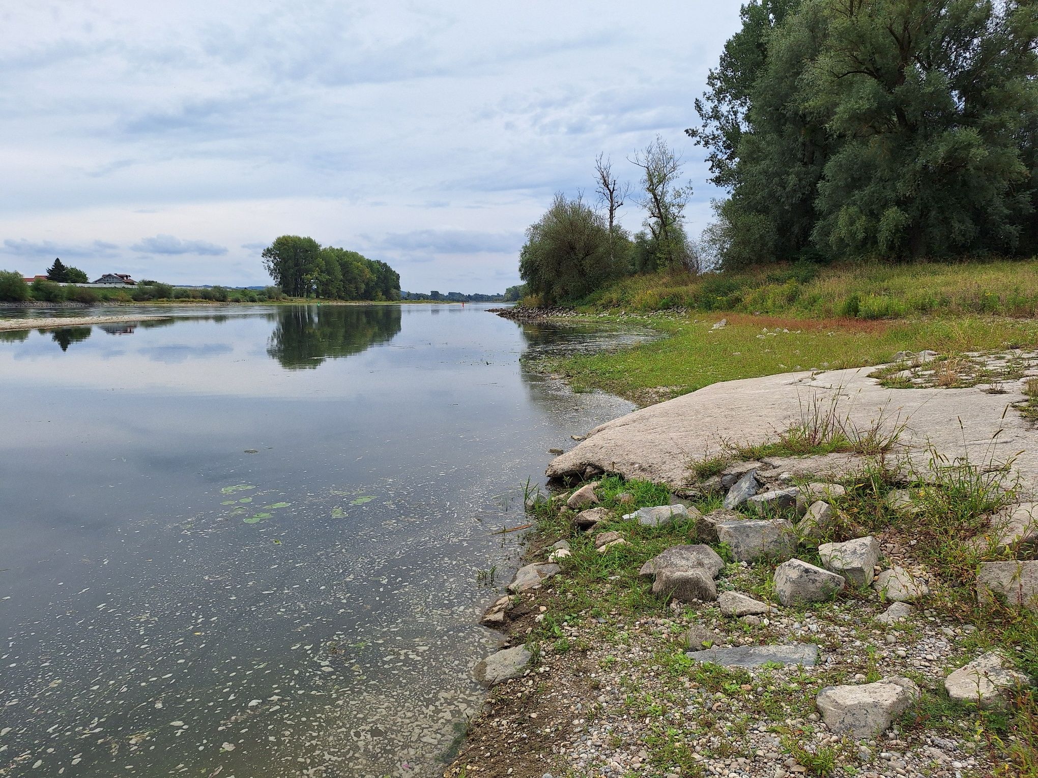 Donau_2026_1